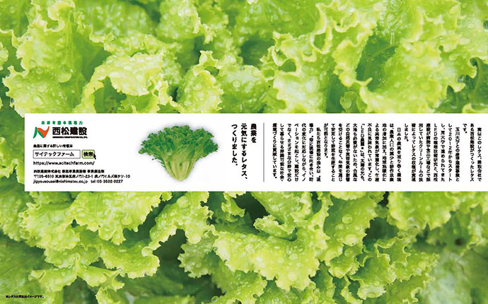 受賞一覧 西松建設株式会社