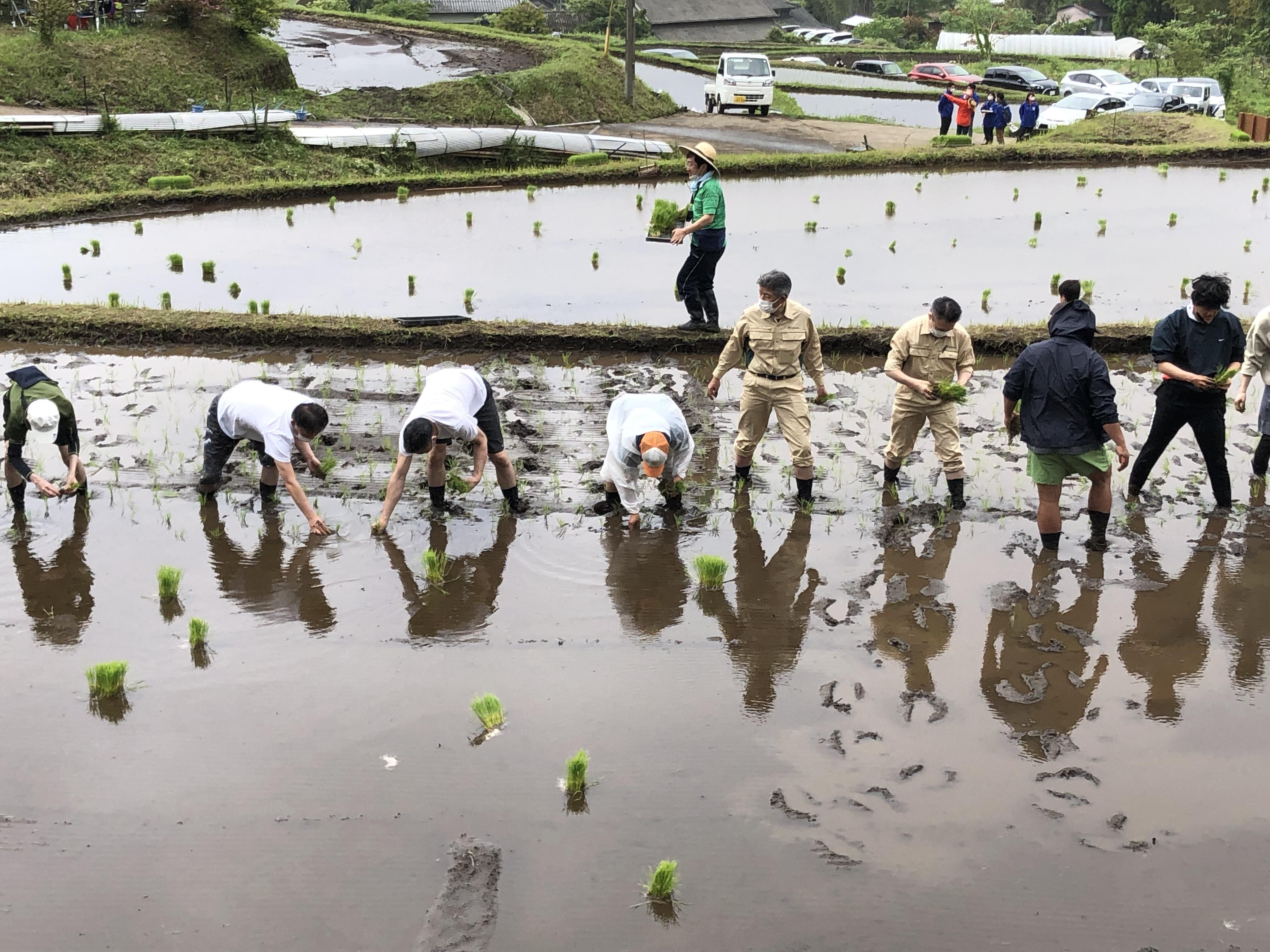 田植え１.JPG