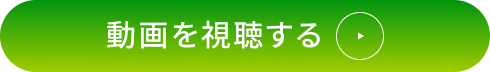 動画を視聴する